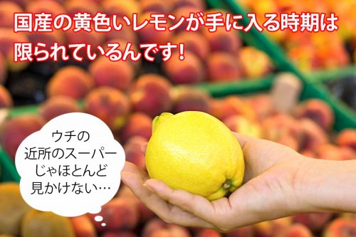 輪切りレモンはちみつ漬 国産レモンが買える時期は限られている
