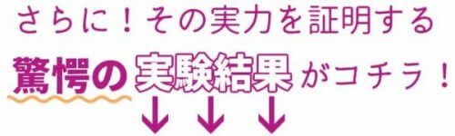 ブライトエイジ 実験