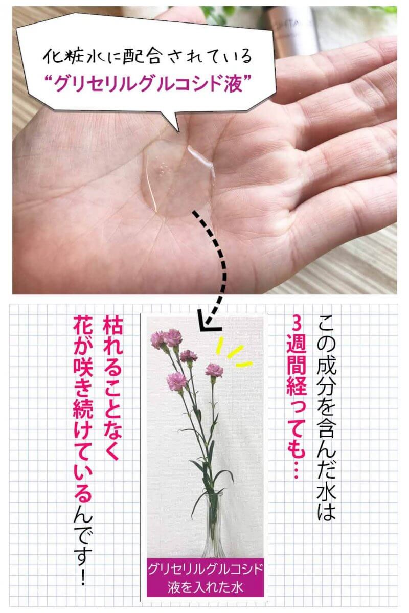 ブライトエイジ 実験